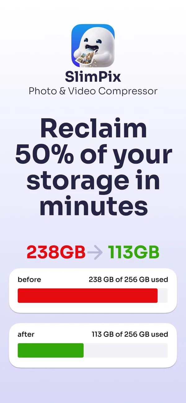 SlimPix storage comparison showing 238 GB reduced to 113 GB